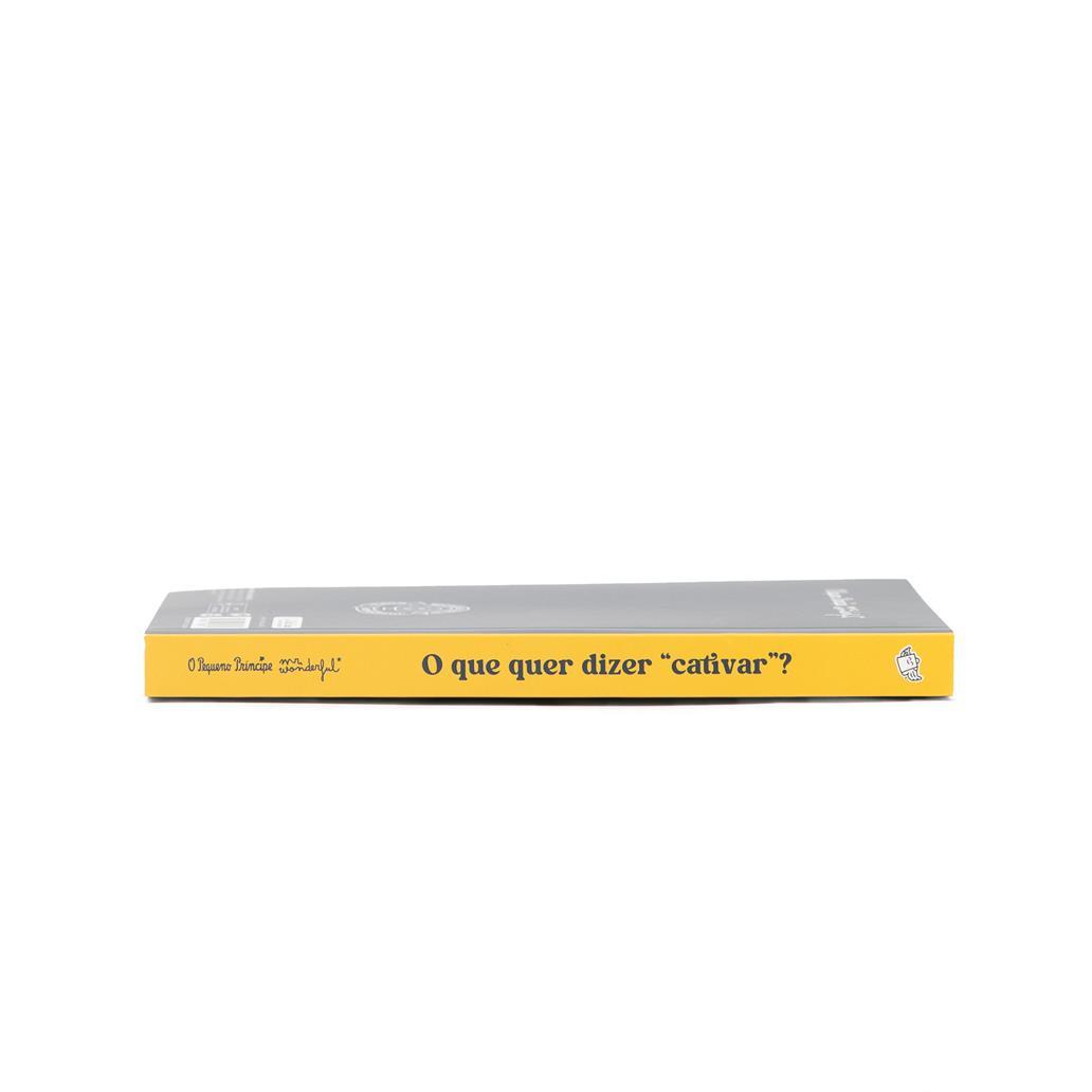 Caderno O Principezinho - O que significa Domesticar? Mr. Wonderful