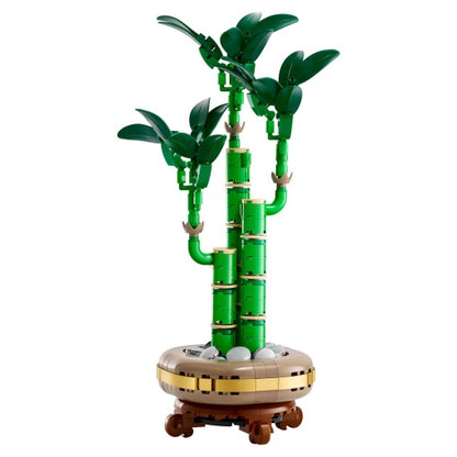 LEGO Botanicals Bambu da Sorte 10344 — fotografia oficial 2