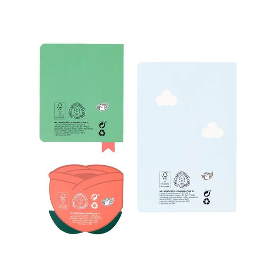 Conjunto de 3 Cadernos / Blocos de Notas Mr. Wonderful – Castelo, Livro e Rosa
